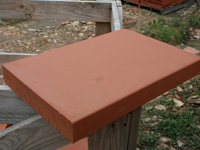 Brique Pleine Dessus de Mur / Foraine 40x28x5cm Rosé-Rouge